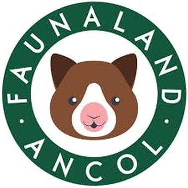 Field trip to faunaland  Class: N2-K2