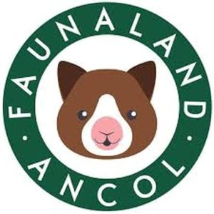 Field trip to faunaland Class: N2-K2